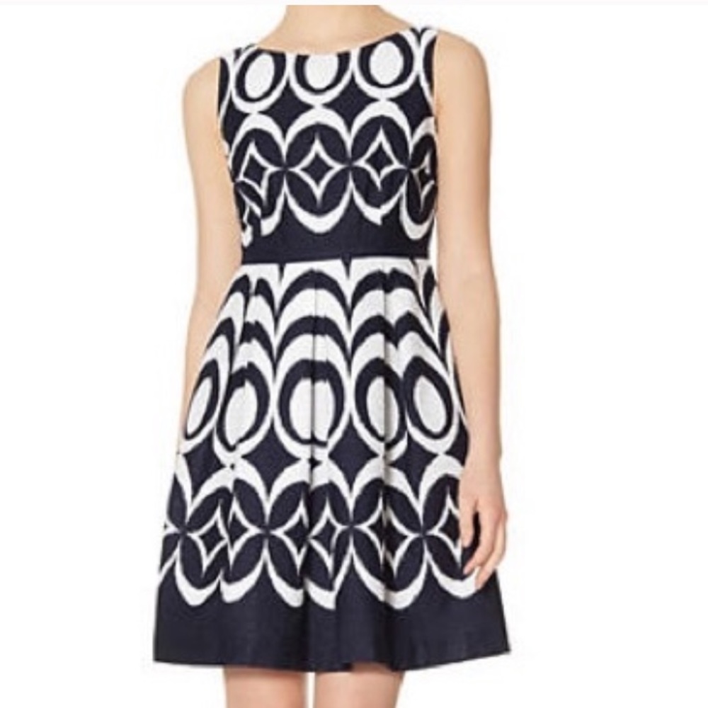 Taylor Ikat Fit and Flare Dress